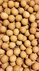 verse longan